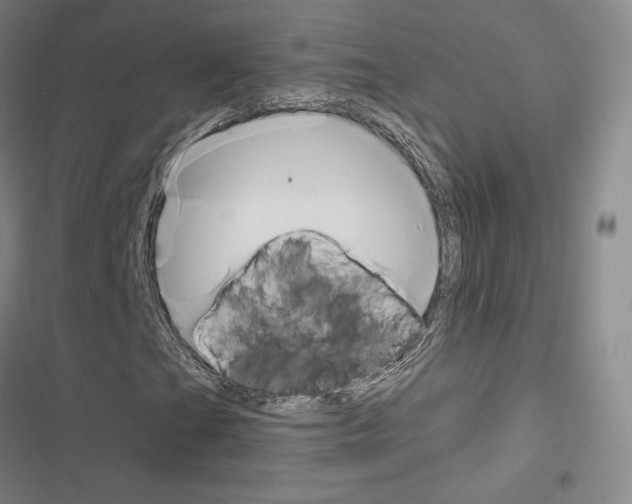 X0000116651201201001251149