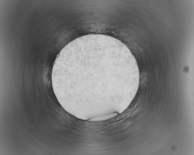 X0000116651202201001251150