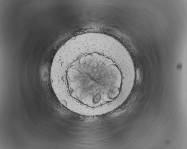 X0000116651203201001251150