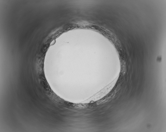 X0000116651205201001251150