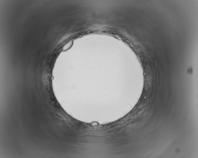 X0000116651206201001251150