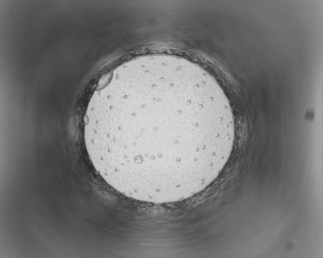 X0000116651207201001251150