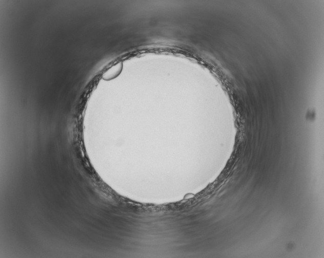 X0000116651208201001251150