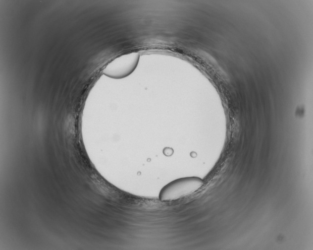 X0000116651209201001251150