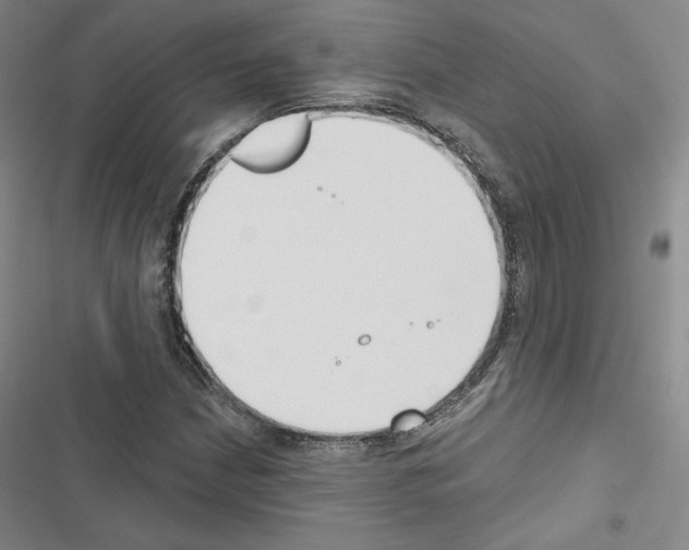 X0000116651210201001251150