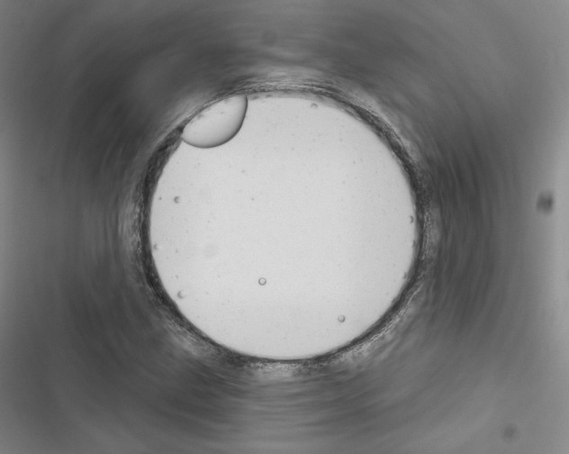 X0000116651211201001251150