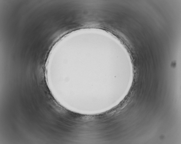X0000116651212201001251150