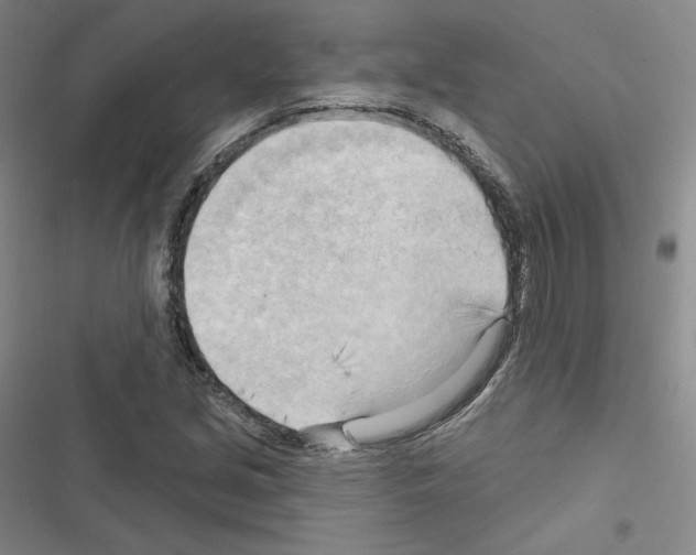X0000116651213201001251150