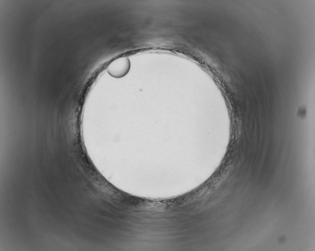 X0000116651214201001251150