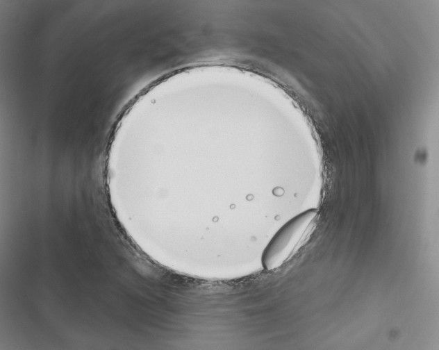 X0000116651216201001251150