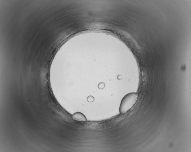 X0000116651217201001251150