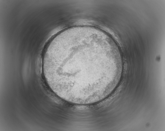 X0000116651219201001251150