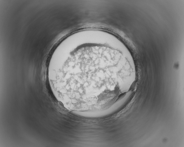 X0000116651221201001251150