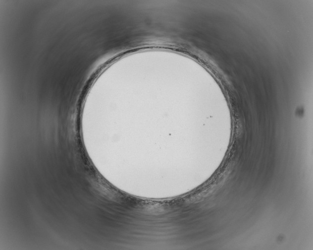 X0000116651222201001251150