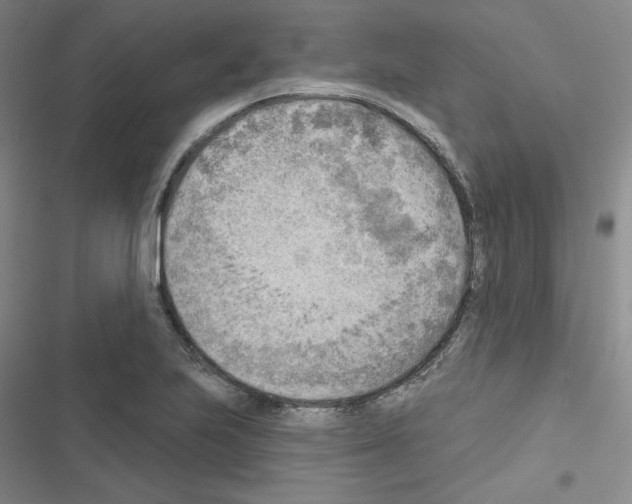 X0000116651223201001251150