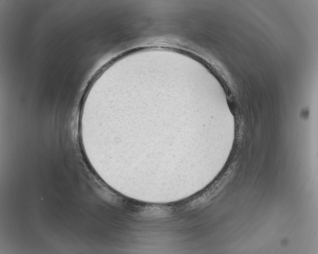 X0000116651224201001251150