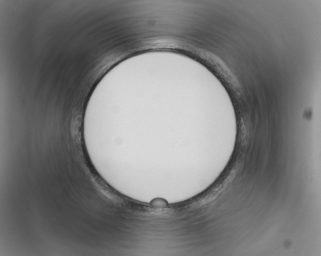 X0000116651225201001251150