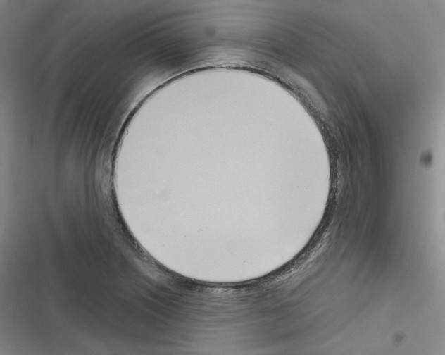 X0000116651226201001251150