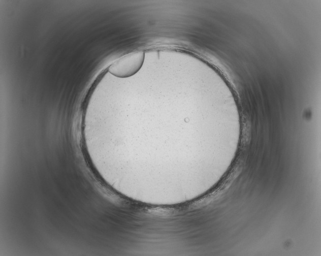 X0000116651227201001251150