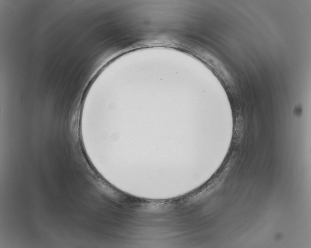 X0000116651228201001251150