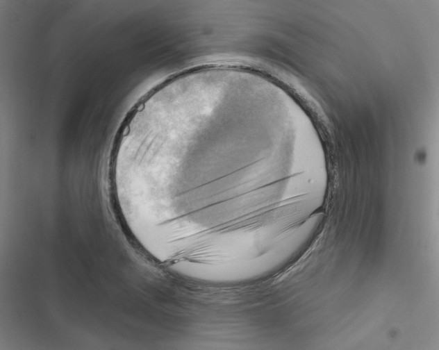X0000116651229201001251150