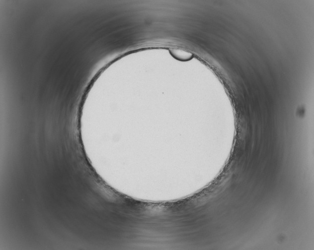 X0000116651230201001251150