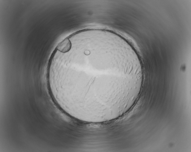 X0000116651231201001251150