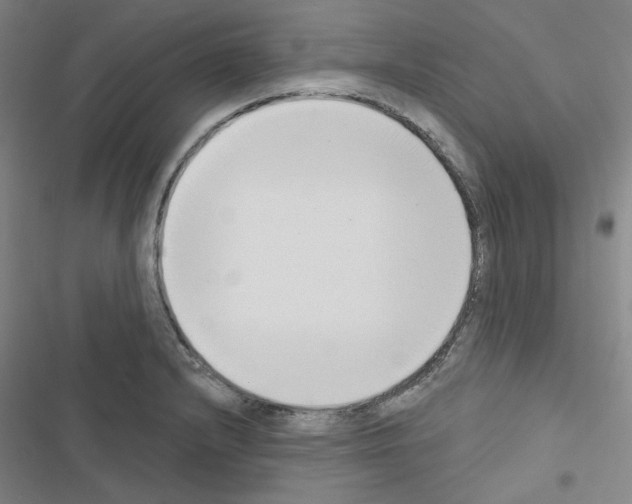 X0000116651232201001251150