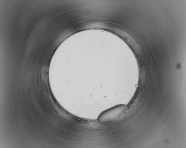 X0000116651233201001251150