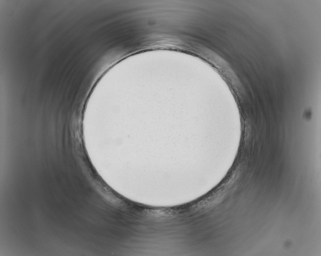 X0000116651234201001251150