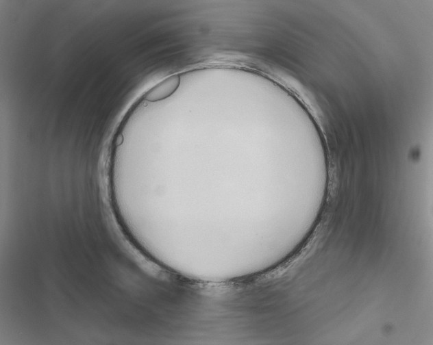X0000116651235201001251150
