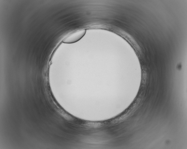 X0000116651236201001251150