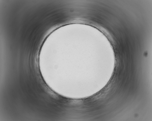 X0000116651238201001251150