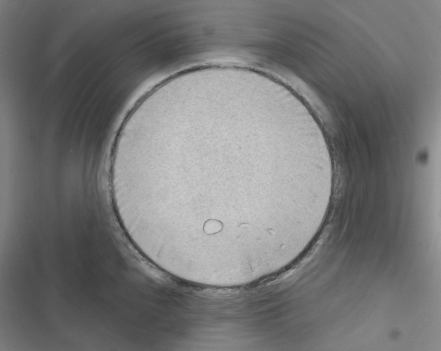 X0000116651240201001251150