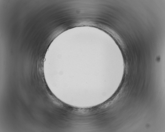 X0000116651241201001251150
