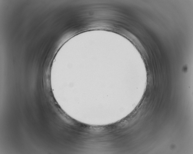 X0000116651242201001251150