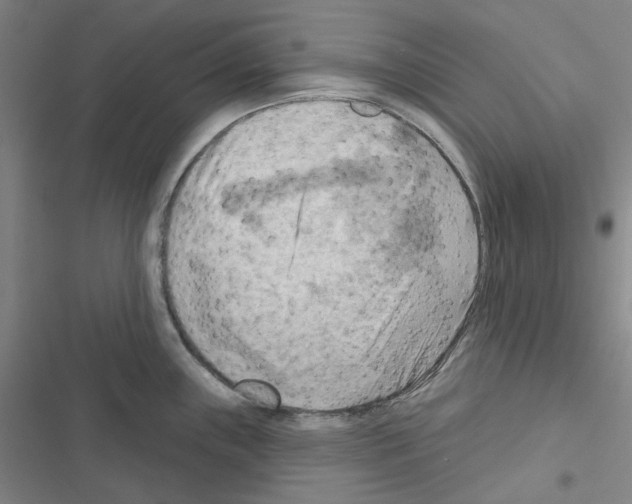 X0000116651243201001251150