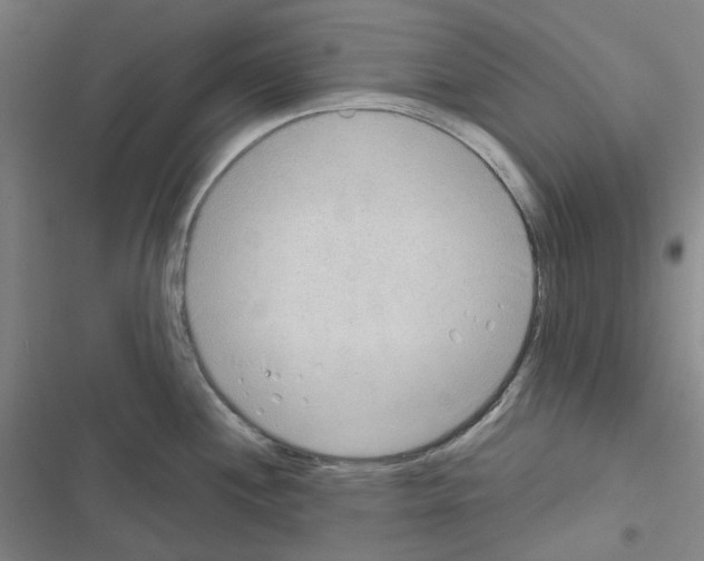 X0000116651244201001251150