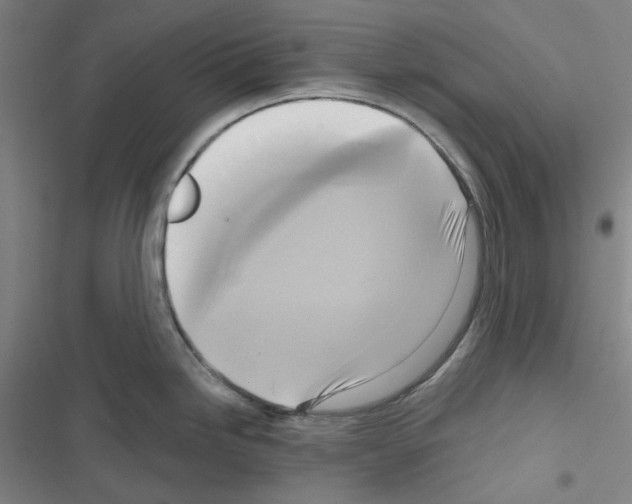 X0000116651246201001251150