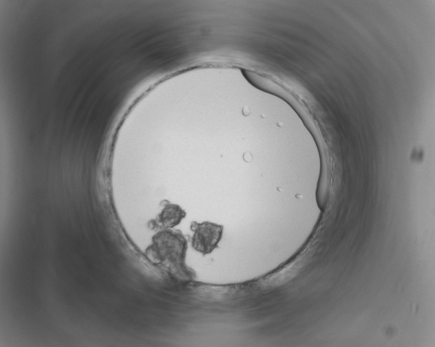 X0000116651248201001251150