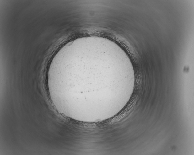 X0000116651249201001251149