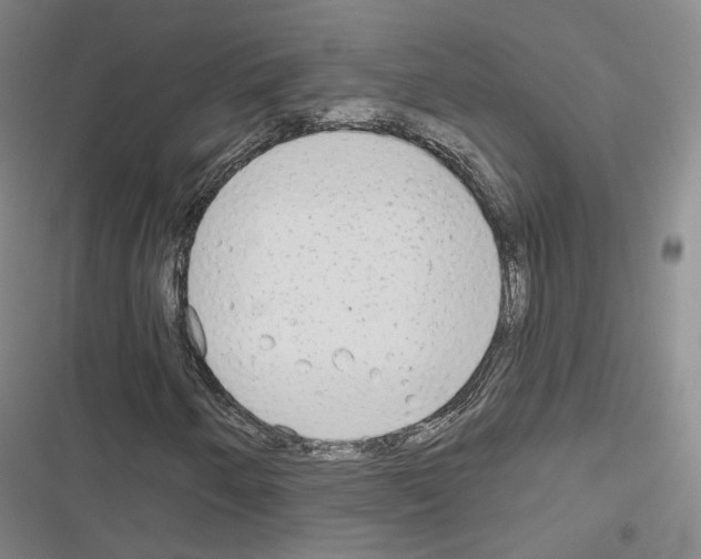 X0000116651250201001251149
