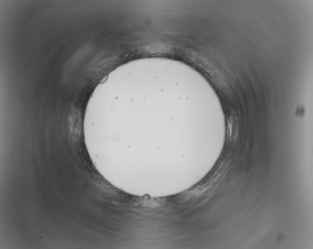 X0000116651251201001251149