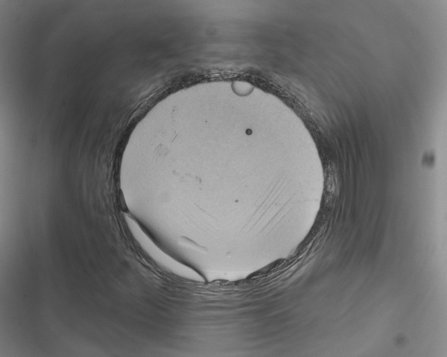 X0000116651252201001251149