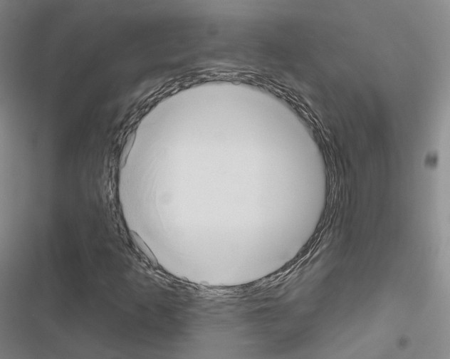 X0000116651253201001251149