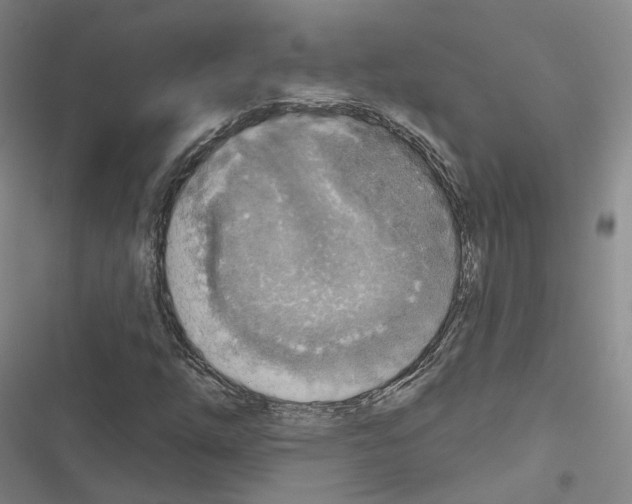 X0000116651254201001251149