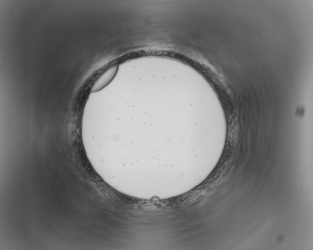 X0000116651255201001251149