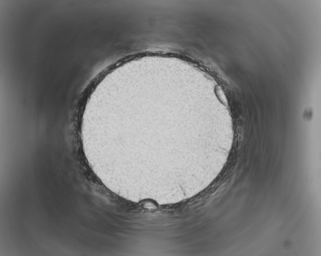 X0000116651256201001251149