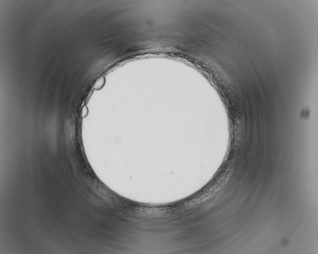 X0000116651257201001251149