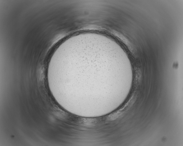 X0000116651258201001251149